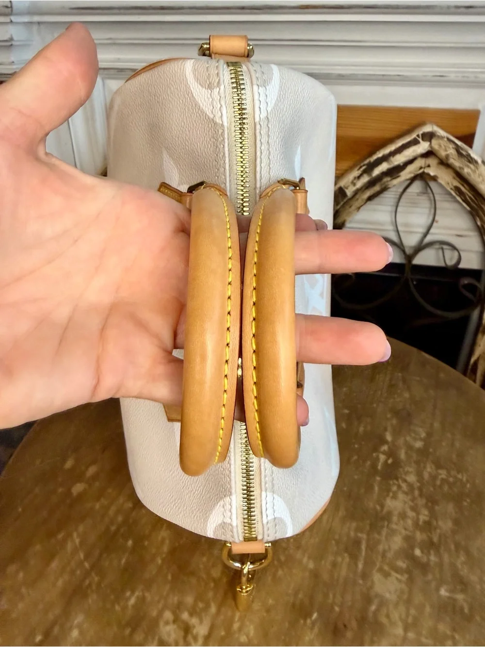 Louis Vuitton Speedy 25 By the Pool in Mist Speedy Bandoulière